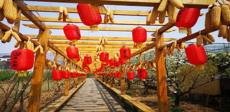 青山园 · 北京市 · 景点