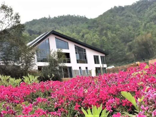船仓花海