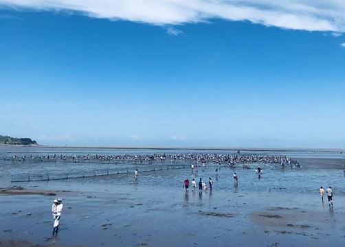 福州连江赶海一号纯玩一日游专车服务轻奢小团亲子童趣赶海扫蛋行动