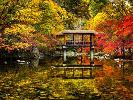 蒲石河森林公园