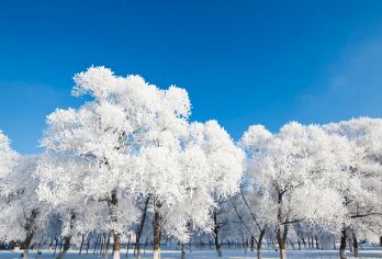 吉林市雾凇岛一日游【雪遇美景 摄影者的天堂 纯玩放心团】【恍然身处“山林仙境” 观赏自然奇观】
