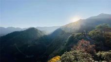 云山国家森林公园-武冈