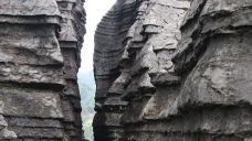 西部竹石林景区-长宁