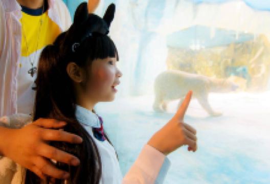 长隆海洋王国-北极熊馆景点图片