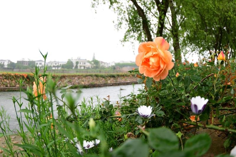 3-Day Lushan Tour: Lushan Scenic Wonders and Hot Spring Retreat, A Blend of Culture and Nature