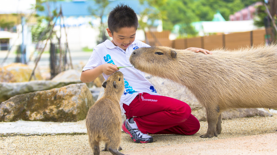 那須動物王國