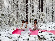 宝应湖国家湿地公园-宝应-C-IMAGE