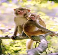 牛姆林生态旅游区-永春-C-IMAGE