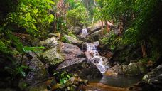 海南百花岭热带雨林文化旅游区-琼中