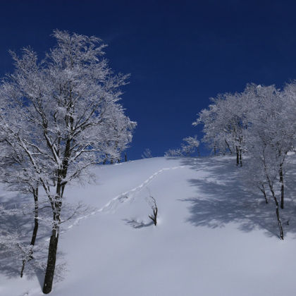 日本六日町八海山滑雪场二日游