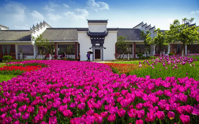 永安旅遊