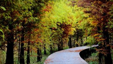 【亲子】崇明熊大叔开心农场+奶牛科普馆一日