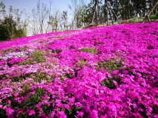 宁波植物园-宁波-C-IMAGE