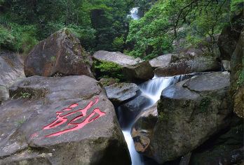 武夷山国家公园+月亮湾一日游，含午餐+讲解【空调小巴、高颜值讲解、含午餐，体验武夷山当地特色美食】