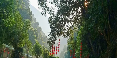 安溪桫欏穀風景區