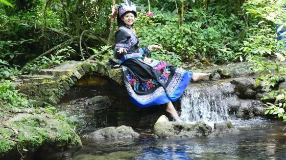 水上相思林