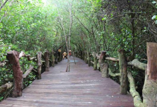 2人起私家团富力红树湾龙门激浪东坡书院一日游海口文昌上门接送【所选城市市区免费上门接送，方便快捷，省时省力（时间可微调）】