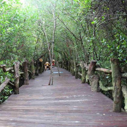 2人起私家团富力红树湾龙门激浪东坡书院一日游海口文昌上门接送