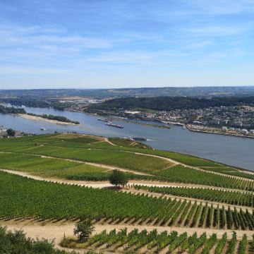 德国法兰克福往莱茵河谷吕德斯海姆威斯巴登一日游10小时包车游