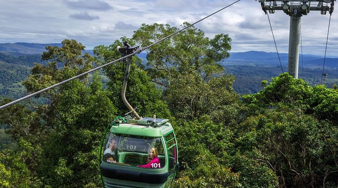 Ultimate Kuranda Tour Skyrail Scenic Railway Koala Gardens