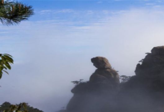巫山旅游图片-两岸猿声啼不住，三峡观光5日游