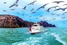 海驴岛景点图片