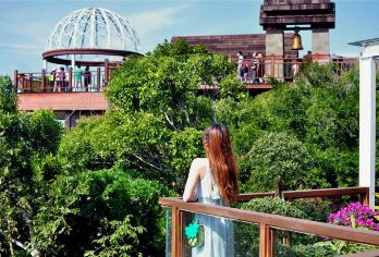 亚龙湾热带天堂森林公园一日游【优享大团含门票上下山游览车】【尽览亚龙湾、沙滩海岸、酒店群崇山峻岭尽在您眼底；】