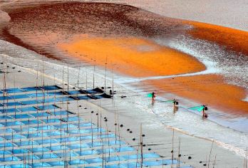 福建霞浦+小皓海滩半日游【小皓滩涂+东壁日落 】【[本地老牌]霞浦本地老牌旅行社一手地接，无转包，全程服务跟踪。】