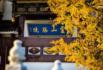 无锡灵山大佛+九龙灌浴+梵宫一日游【半自助游】【88米高的青铜佛像宏伟壮观，登顶还可俯瞰全景】