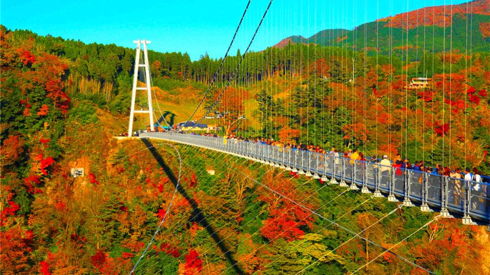 大分县耶马溪九重梦大吊桥一日游赏枫日本金秋赏枫季