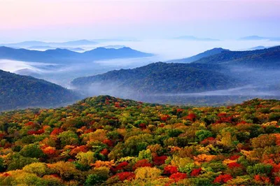 金龙山国家森林公园