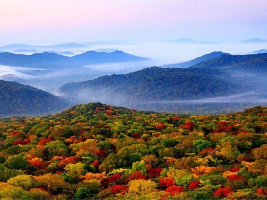金龙山国家森林公园