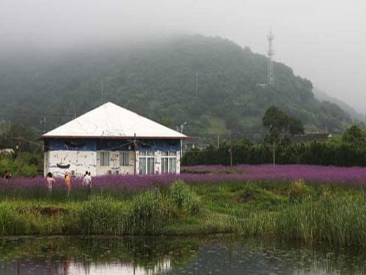 塔湾金沙景区