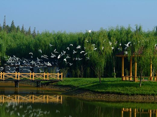 西沙明珠湖景区