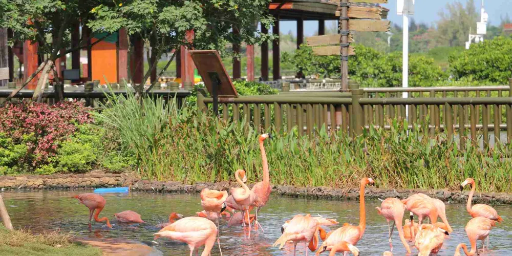 永安旅遊