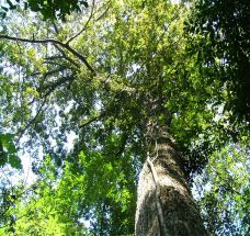 牛姆林生态旅游区-永春-C-IMAGE
