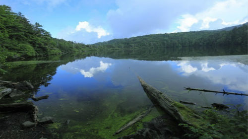长野县一日游 苔之森 白驹池 乙女瀑布 御射鹿池名古屋往返 线路推荐 携程玩乐