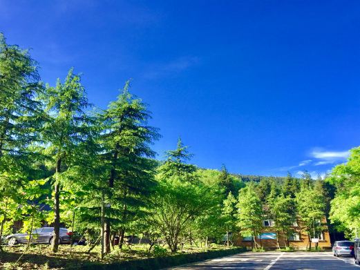 武陵山国家森林公园