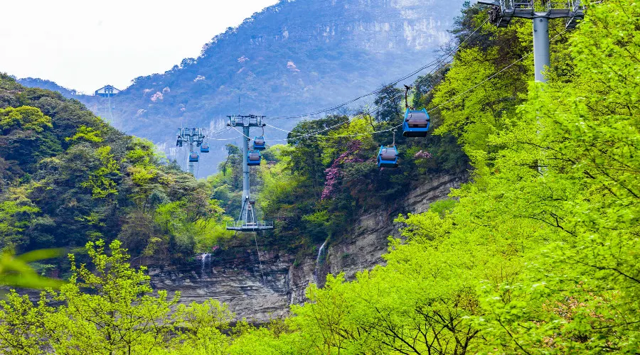 永安旅遊