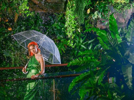 正佳雨林生态植物园