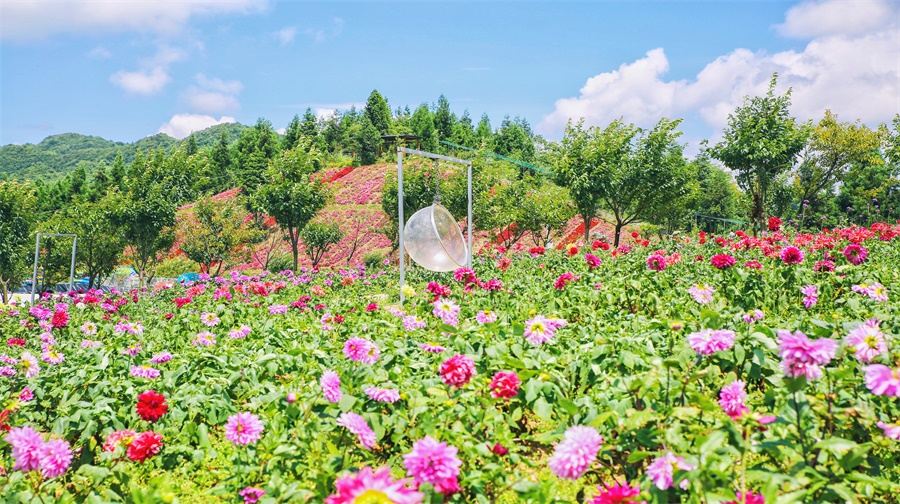 云中花都