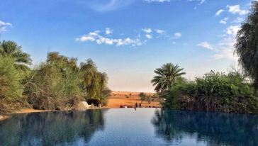 【品味高端】迪拜阿玛哈羚羊沙漠酒店沙漠探索