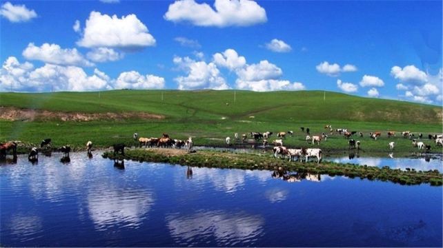 希拉穆仁草原一日游含餐骑马体验呼和浩特出发