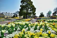 安城产业文化公园-安城市-C-IMAGE