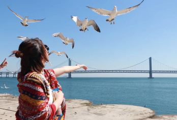 大连环海一日游人气路线|莲花山俯瞰大连全景|乘坐帆船出海【漫游大连、深度游览当地、只有10%的人 能体验真正特色玩法、小众路线】