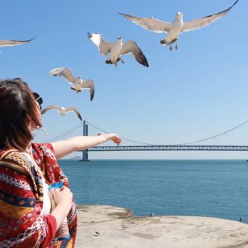 大连环海一日游人气路线|莲花山俯瞰大连全景|乘坐帆船出海