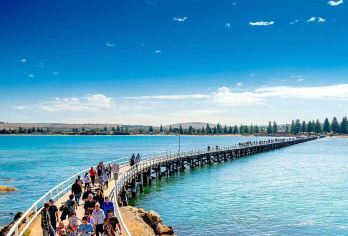 阿德莱德克莱兰德野生动物园+维克多港一日游【德国村/包车】【[小西欧田园风情]远离都市繁华的喧嚣， 徜徉于青山绿水之安宁】