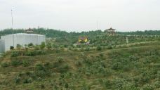 湖北黄袍山国家油茶产业示范园-通城