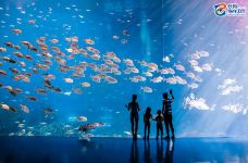 珠海长隆海洋王国·鲸鲨馆-珠海