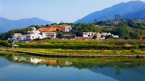 漳州长泰格林美提子园采摘一日游线路推荐【携